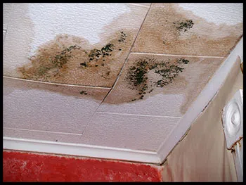 Hallandale Beach Emergency Restoration Hallandale Beach, FL 954-399-6342