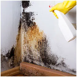 Hallandale Beach Emergency Restoration Hallandale Beach, FL 954-399-6342