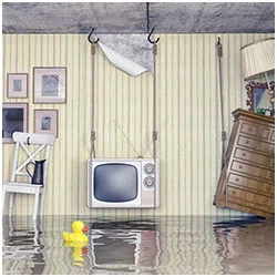 Hallandale Beach Emergency Restoration Hallandale Beach, FL 954-399-6342