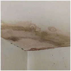 Hallandale Beach Emergency Restoration Hallandale Beach, FL 954-399-6342